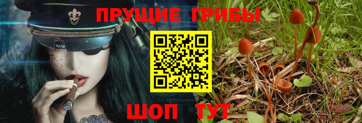 Галлюциногенные грибы GOLDEN TEACHER Симферополь